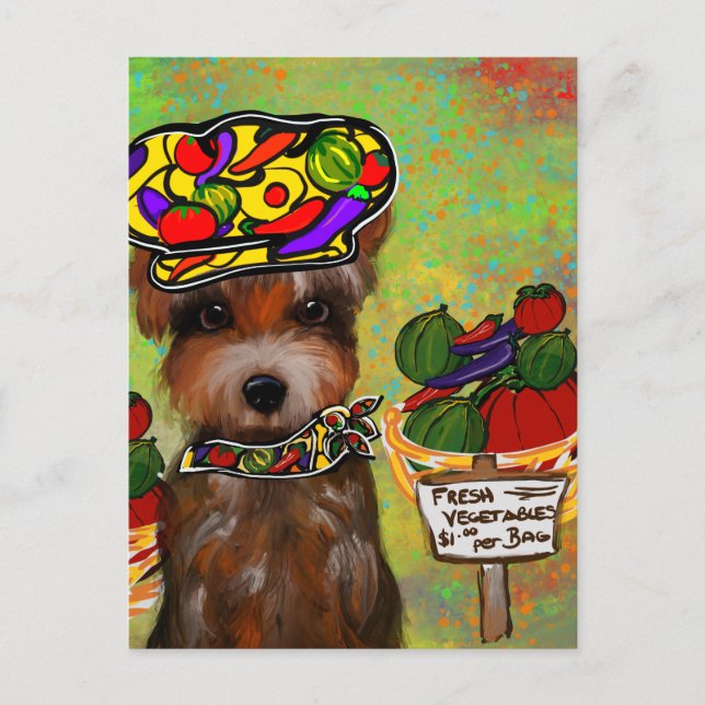  Yorkie Poo  Postcard (Front)