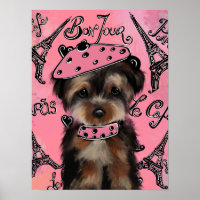 YORKIE POO          