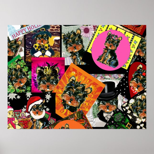YORKIE POO POSTER (Front)