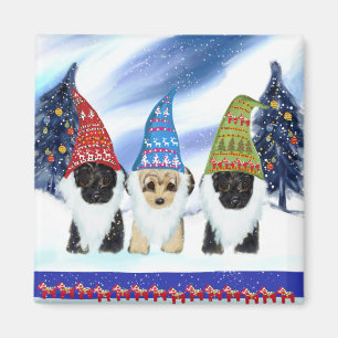 Yorkie Poo Sweden Magnet