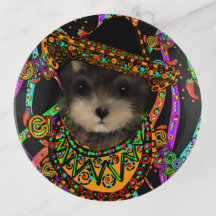 Yorkie Poo
