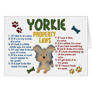 Yorkie Property Laws 4