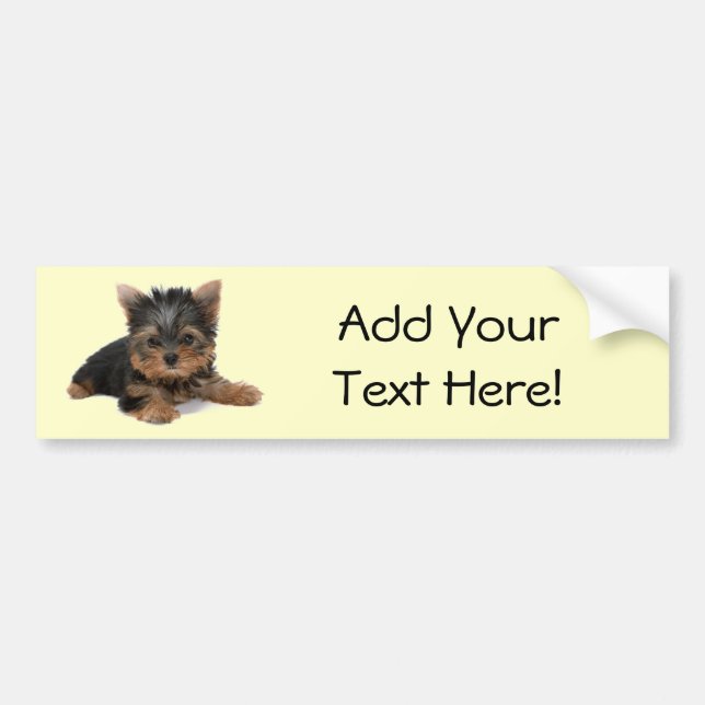 Yorkie Pup Bumper Sticker (Front)