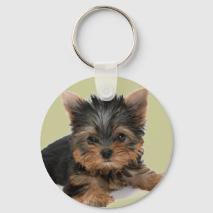Yorkie Pup Key Ring