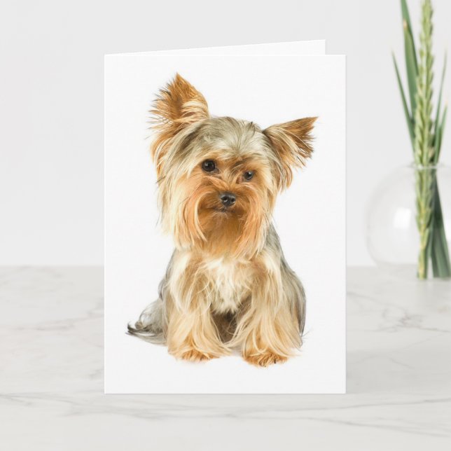 Yorkie Puppy Greeting Card (Front)