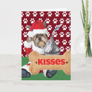 Yorkie Puppy Kiss Christmas Cards