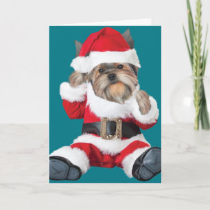 Yorkie Puppy Santa Holiday Card