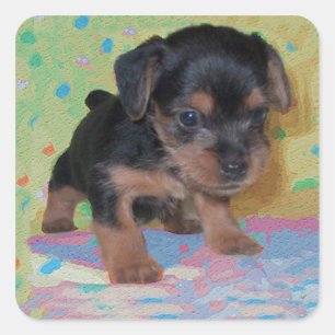 Yorkie Puppy Sticker