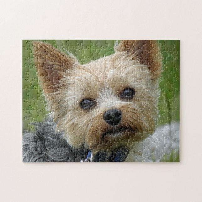 Yorkie Puzzle (Horizontal)