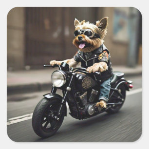 Yorkie Riding Motorcycle Sticker
