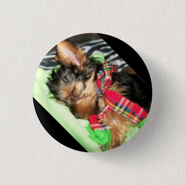 Yorkie Snuggle 3 Cm Round Badge (Front)
