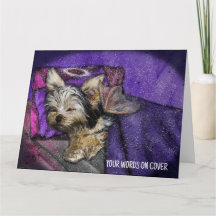 Yorkie Sympathy Tribute Pet Loss Greeting Card