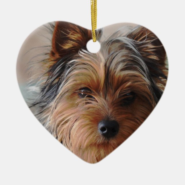 Yorkie Terrier  Ornament (Front)