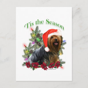 Yorkie 'Tis the Season Postcard