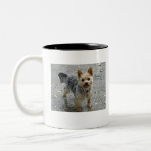 Yorkie Two-Tone Coffee Mug