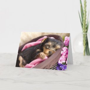 Yorkie Valentine Card
