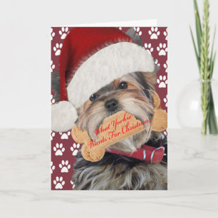 Yorkie Wants Kisses For Christmas Holiday Card