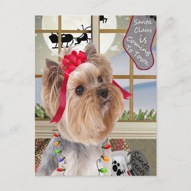 Yorkie Watches For Santa Holiday Postcard (Front)