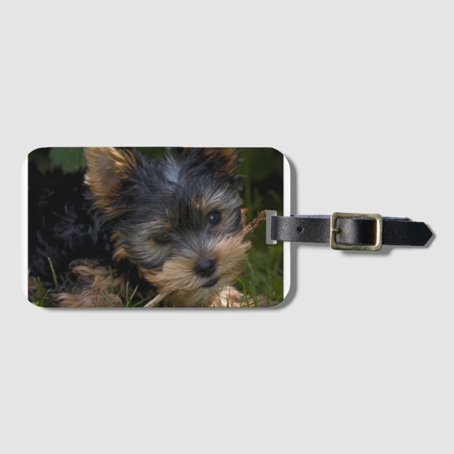 yorkie with stick luggage tag (Front Horizontal)