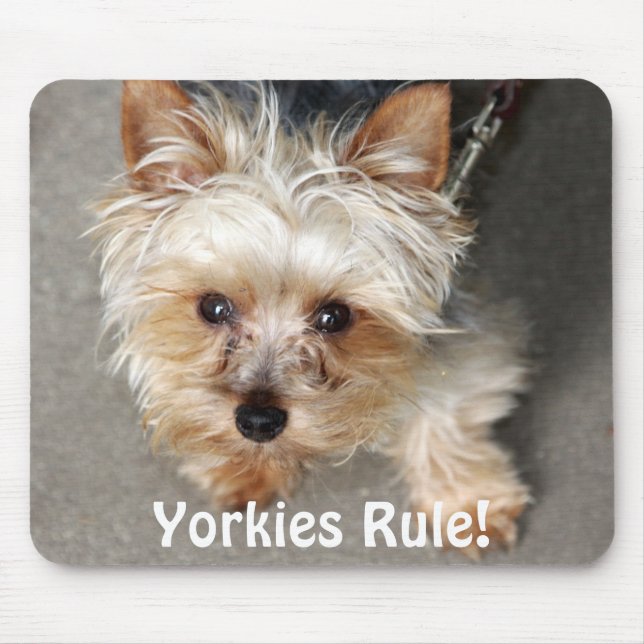 Yorkie, Yorkies Rule! Mouse Mat (Front)