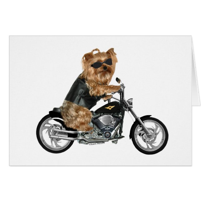 Yorkie Yorkshire Terrier Biker (Front Horizontal)