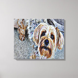 Yorkie Yorkshire Terrier Coloured Canvas Print
