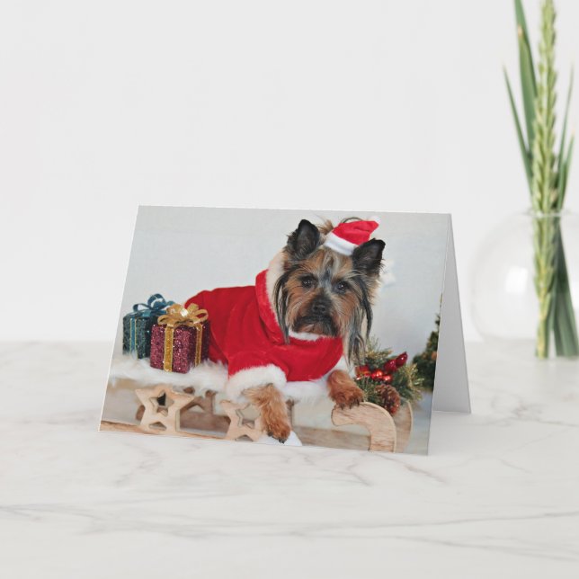 Yorkie Yorkshire Terrier Dog - Christmas Santa Hat Holiday Card (Front)