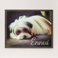 Yorkie, Yorkshire Terrier, Experiencing Ennui  