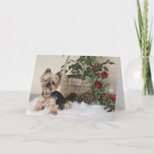 Yorkie (Yorkshire Terrier) Valentine's Card