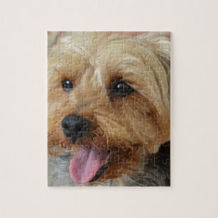 Yorkie puzzles best sale