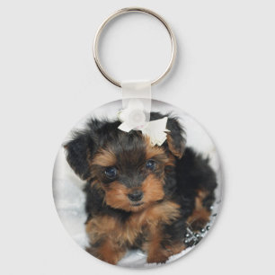 Yorkiepoo Key Ring