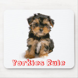 Yorkies Rule Yorkshire Terrier Puppy Dog Mousepad