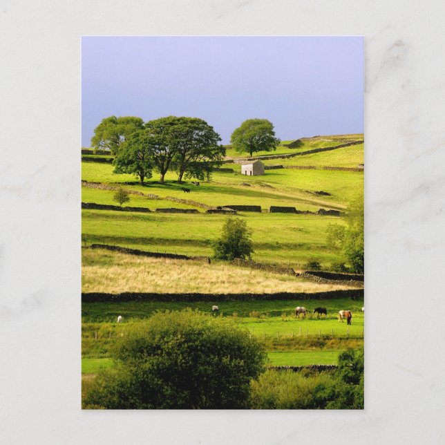 Yorkshire landscape postcard (Front)