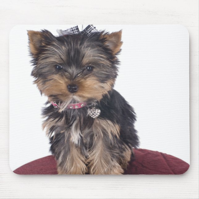 yorkshire mouse mat (Front)