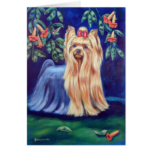Yorkshire Terrier (Front)