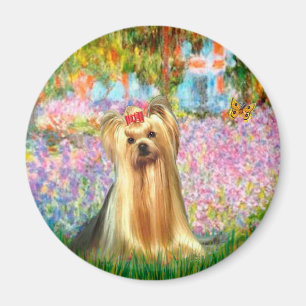 Yorkshire Terrier 1 - Garden Magnet