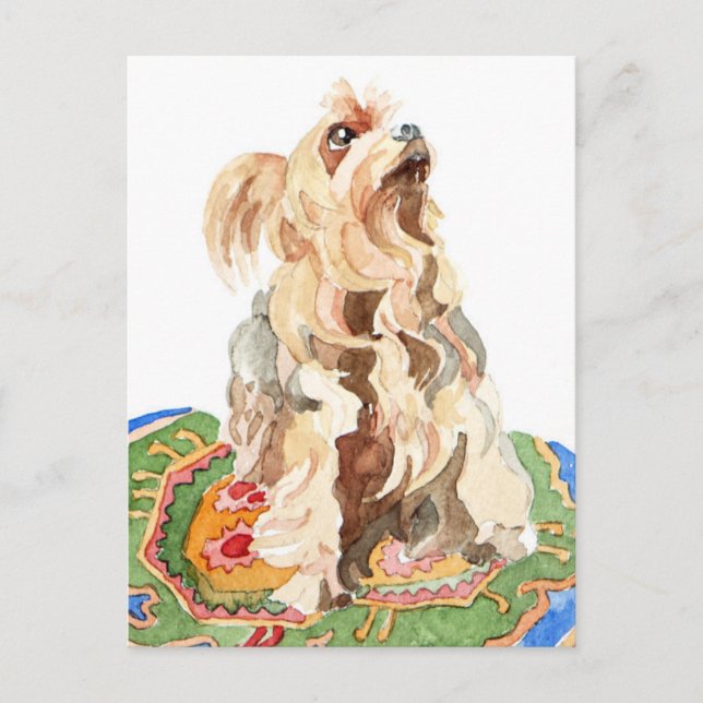 Yorkshire terrier 2012 postcard (Front)