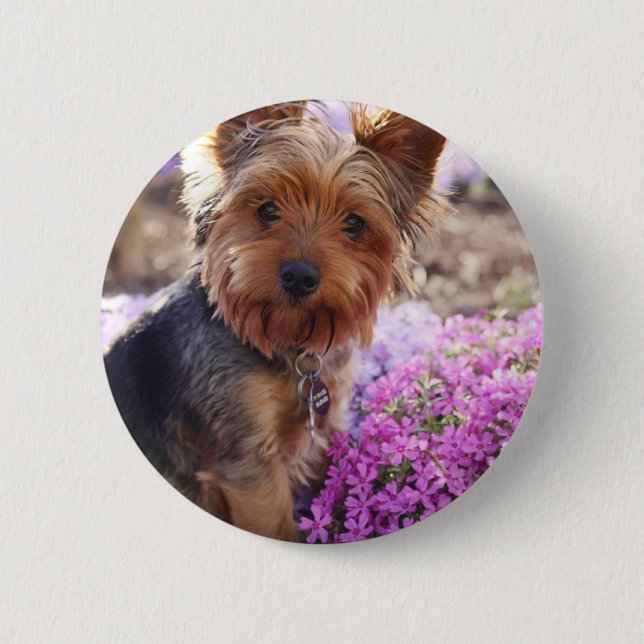 Yorkshire Terrier 6 Cm Round Badge (Front)