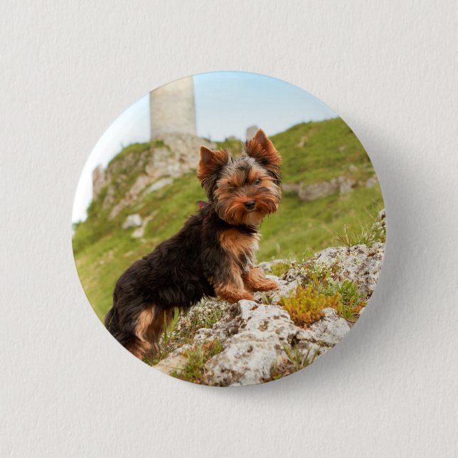 Yorkshire Terrier 6 Cm Round Badge (Front)