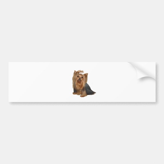 Yorkshire Terrier (7) Bumper Sticker (Front)
