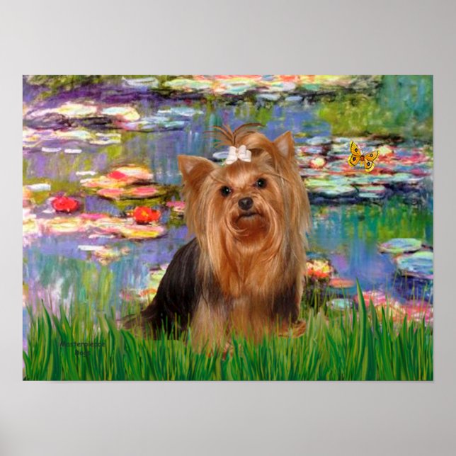 Yorkshire Terrier 7 - Lilies 2 Poster (Front)