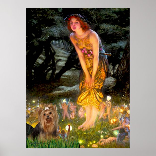 Yorkshire Terrier 7 - MidEve Poster (Front)