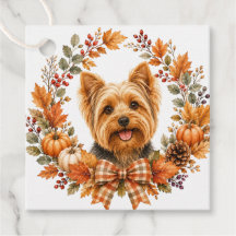 Yorkshire Terrier Autumn