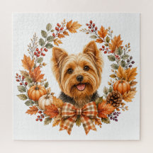 Yorkshire Terrier Autumn
