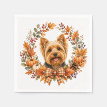 Yorkshire Terrier Autumn