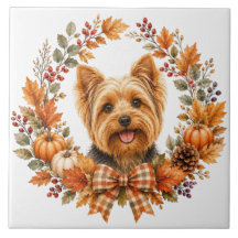 Yorkshire Terrier Autumn
