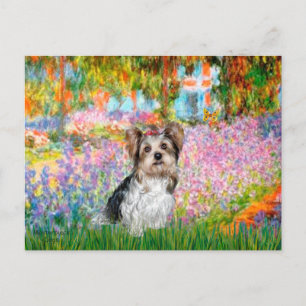 Yorkshire Terrier (Biewer) - Garden Postcard