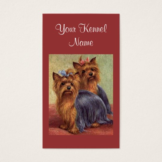 Yorkshire Terrier Breeder Business Card