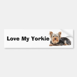 Yorkshire Terrier Bumper Sticker