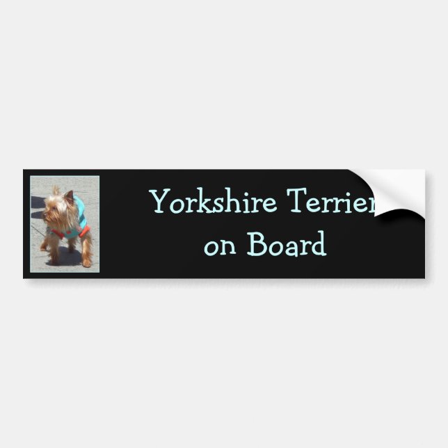 Yorkshire Terrier bumper sticker (Front)